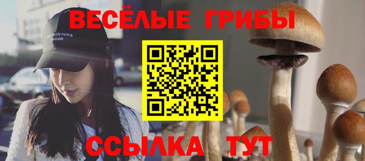 Галлюциногенные грибы мухоморы Казань